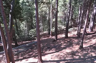 3281 Mountain Lake Dr, Pollock Pines, CA 95726 - Photo 58