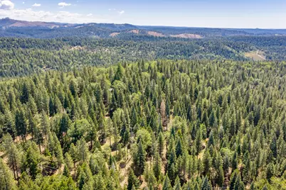 6420 Starkes Grade Road, Pollock Pines, CA 95726 - Photo 38