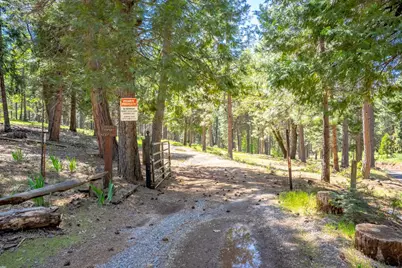 6420 Starkes Grade Road, Pollock Pines, CA 95726 - Photo 52