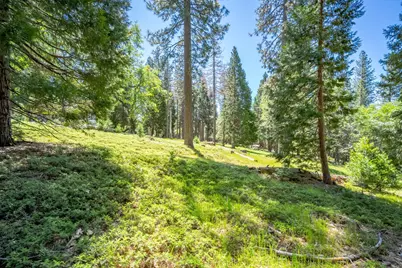 6420 Starkes Grade Road, Pollock Pines, CA 95726 - Photo 56