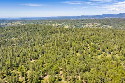 6420 Starkes Grade Road, Pollock Pines, CA 95726 - Photo 48