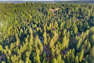 25980 Forest Knoll Ct, Pioneer, CA 95666 - Photo 80