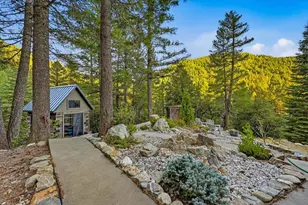 200 Craycroft Ridge Rd, Downieville, CA 95936 - Photo 36