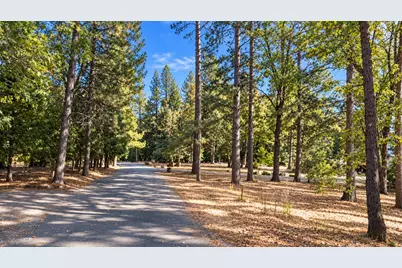 18963 Louis Road, Grass Valley, CA 95945 - Photo 56