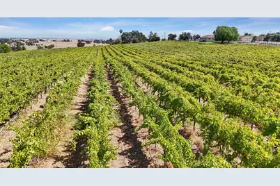 26680 N Mackville Road, Clements, CA 95227 - Photo 4
