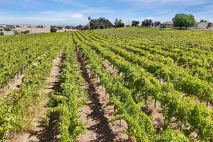 26680 N Mackville Rd, Clements, CA 95227 - Photo 4