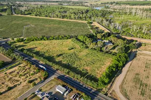 400 Roberts Rd, Colusa, CA 95932 - Photo 86