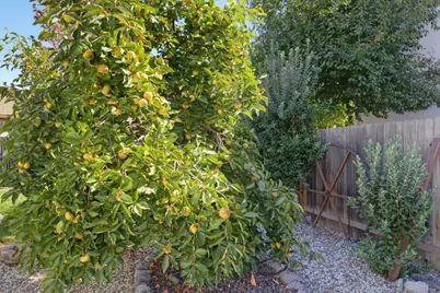 501 Welsford Court, Lincoln, CA 95648 - Photo 48