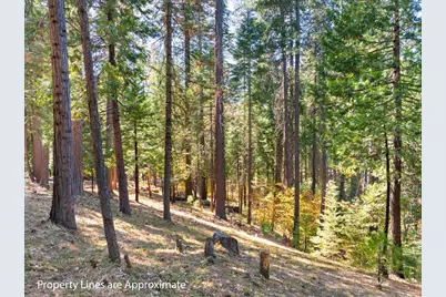 2785 Murphys Drive, Arnold, CA 95223 - Photo 8