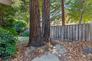7787 Dutra Bend Dr, Sacramento, CA 95831 - Photo 62
