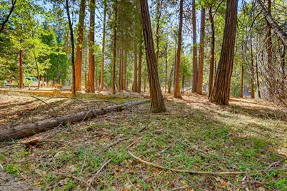 13184 Quaker Hill Cross Road, Nevada City, CA 95959 - Photo 40
