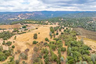 6340 Grizzly Flat Rd, Somerset, CA 95684 - Photo 10
