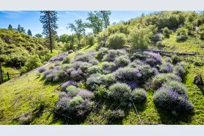 12420 Highway 26, Mokelumne Hill, CA 95245 - Photo 32