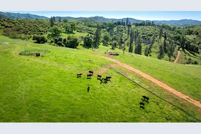 12420 Highway 26, Mokelumne Hill, CA 95245 - Photo 44