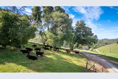 12420 Highway 26, Mokelumne Hill, CA 95245 - Photo 2