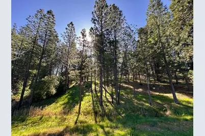 1711 The Point Rd, Meadow Vista, CA 95722 - Photo 18