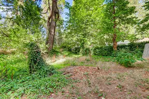 13020 Sadie D Dr, Nevada City, CA 95959 - Photo 62