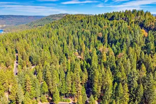 13020 Sadie D Dr, Nevada City, CA 95959 - Photo 50