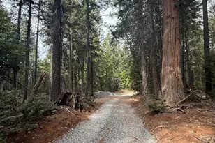 10071 Ditch Camp Rd, Georgetown, CA 95634 - Photo 32