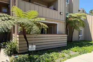 147 Monte Verano Ct, San Jose, CA 95116 - Photo 1