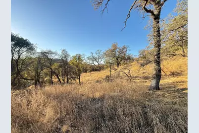 11185 Peoria Road, Browns Valley, CA 95918 - Photo 8
