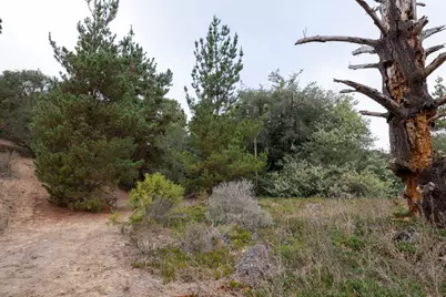 64 Walker Valley Road, Castroville, CA 95012 - Photo 8