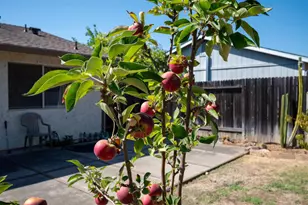 4053 Bairnsdale Way, Sacramento, CA 95826 - Photo 28
