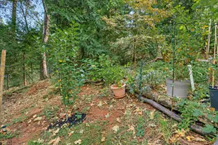 11849 Oracle Dr, Grass Valley, CA 95949 - Photo 52