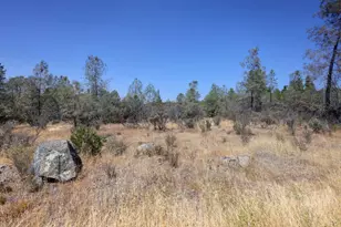 14526 McCourtney Rd, Grass Valley, CA 95949 - Photo 36