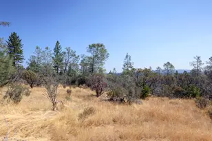 14526 McCourtney Rd, Grass Valley, CA 95949 - Photo 30