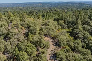 19934 Pitts Ct, Pine Grove, CA 95665 - Photo 86