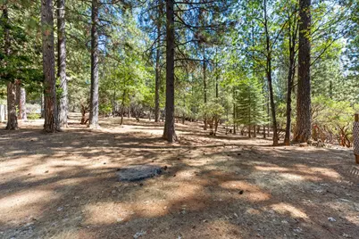 6829 Kings Row Drive, Grizzly Flats, CA 95636 - Photo 48