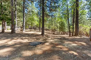 6829 Kings Row Dr, Grizzly Flats, CA 95636 - Photo 48