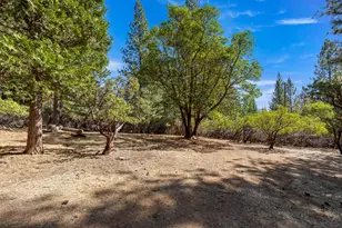 6829 Kings Row Dr, Grizzly Flats, CA 95636 - Photo 56