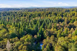 13269 Madrone Forest Dr, Nevada City, CA 95959 - Photo 70