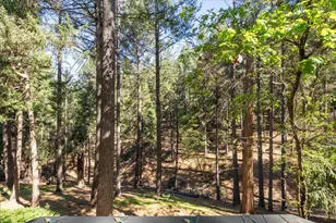 5671 Sierra Springs Dr, Pollock Pines, CA 95726 - Photo 10