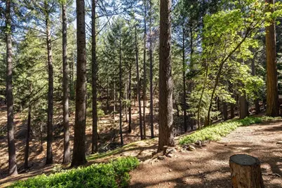 5671 Sierra Springs Drive, Pollock Pines, CA 95726 - Photo 14