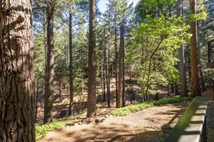 5671 Sierra Springs Dr, Pollock Pines, CA 95726 - Photo 12