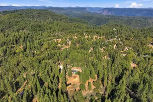 555 Trail Ridge Lane, Colfax, CA 95713 - Photo 8