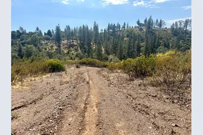 5970 Michel Road, Mountain Ranch, CA 95246 - Photo 50