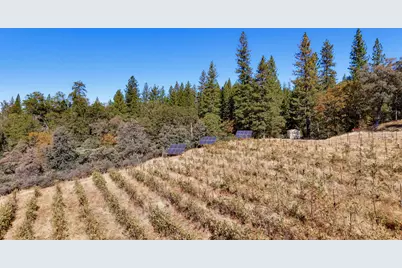 19299 Lake City Road, Nevada City, CA 95959 - Photo 42
