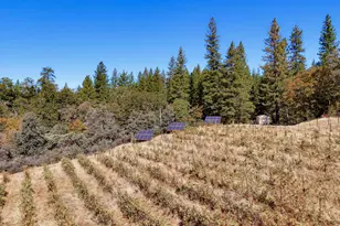 19299 Lake City Rd, Nevada City, CA 95959 - Photo 42