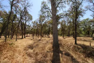 6026 Clair Dr, Browns Valley, CA 95918 - Photo 42