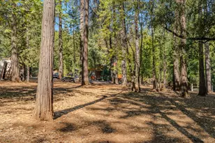 20507 Marimac Ln, Pine Grove, CA 95665 - Photo 14