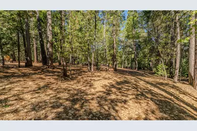 20507 Marimac Lane, Pine Grove, CA 95665 - Photo 12