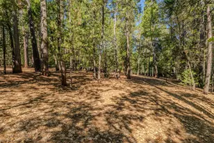 20507 Marimac Ln, Pine Grove, CA 95665 - Photo 12
