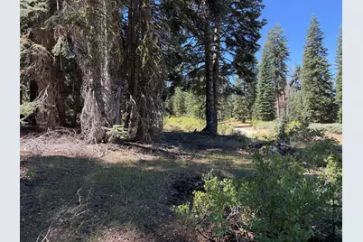 20 Blue Rock Trail, Dorrington, CA 95223 - Photo 26