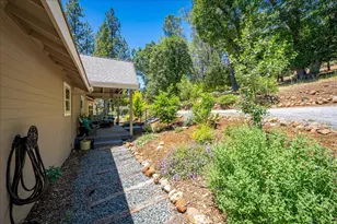 2901 Hermosa Ct, Camino, CA 95709 - Photo 14