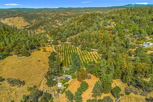 1560 State Hwy 49, Placerville, CA 95667 - Photo 88