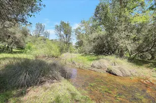 9844 Township Rd, Browns Valley, CA 95918 - Photo 66